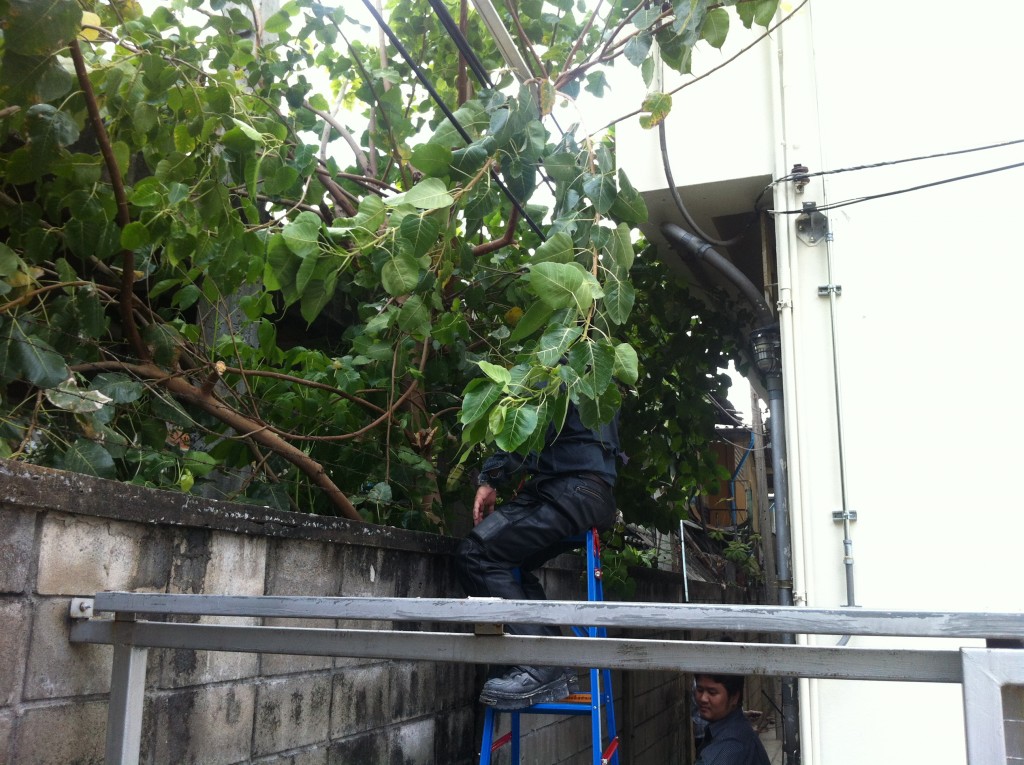 รูปภาพ 21-8-58 11 34 44