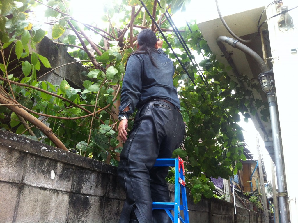 รูปภาพ 21-8-58 11 34 51