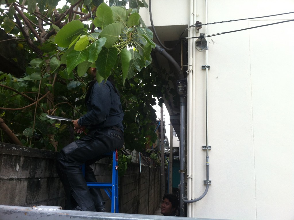 รูปภาพ 21-8-58 11 35 05